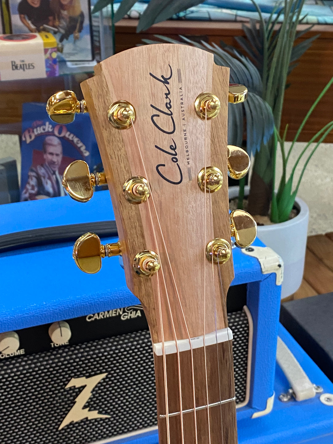 Cole Clark Guitars Recording Series AN2EC All Narra