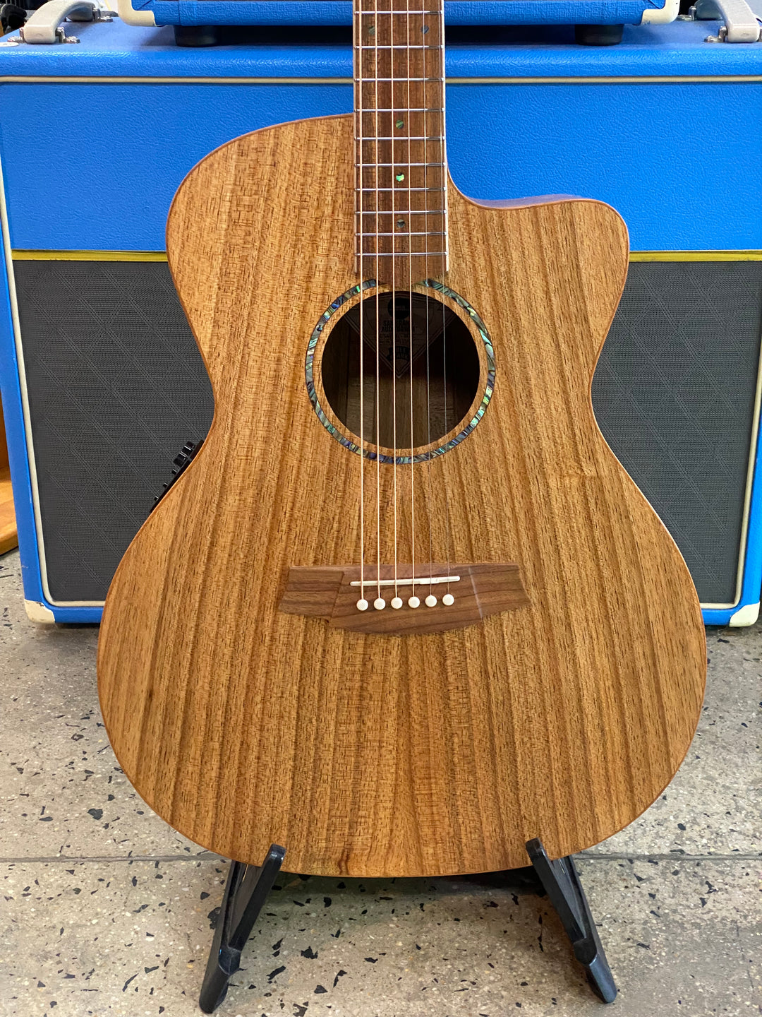 Cole Clark Studio SAN1EC Grand Auditorium Blackwood top back & sides