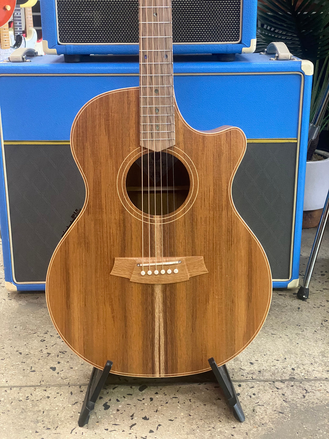 Cole Clark Angel 2 All Blackwood CCAN2EC-BLBL