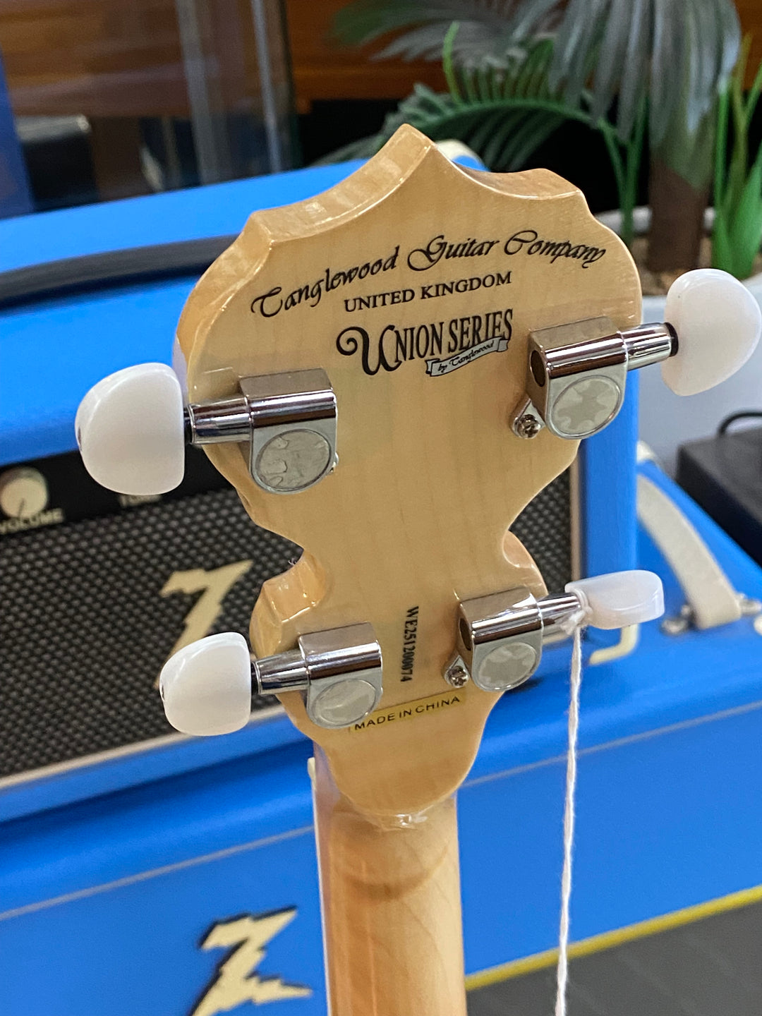 Tanglewood TWB18-M5 Union Banjo 5 String