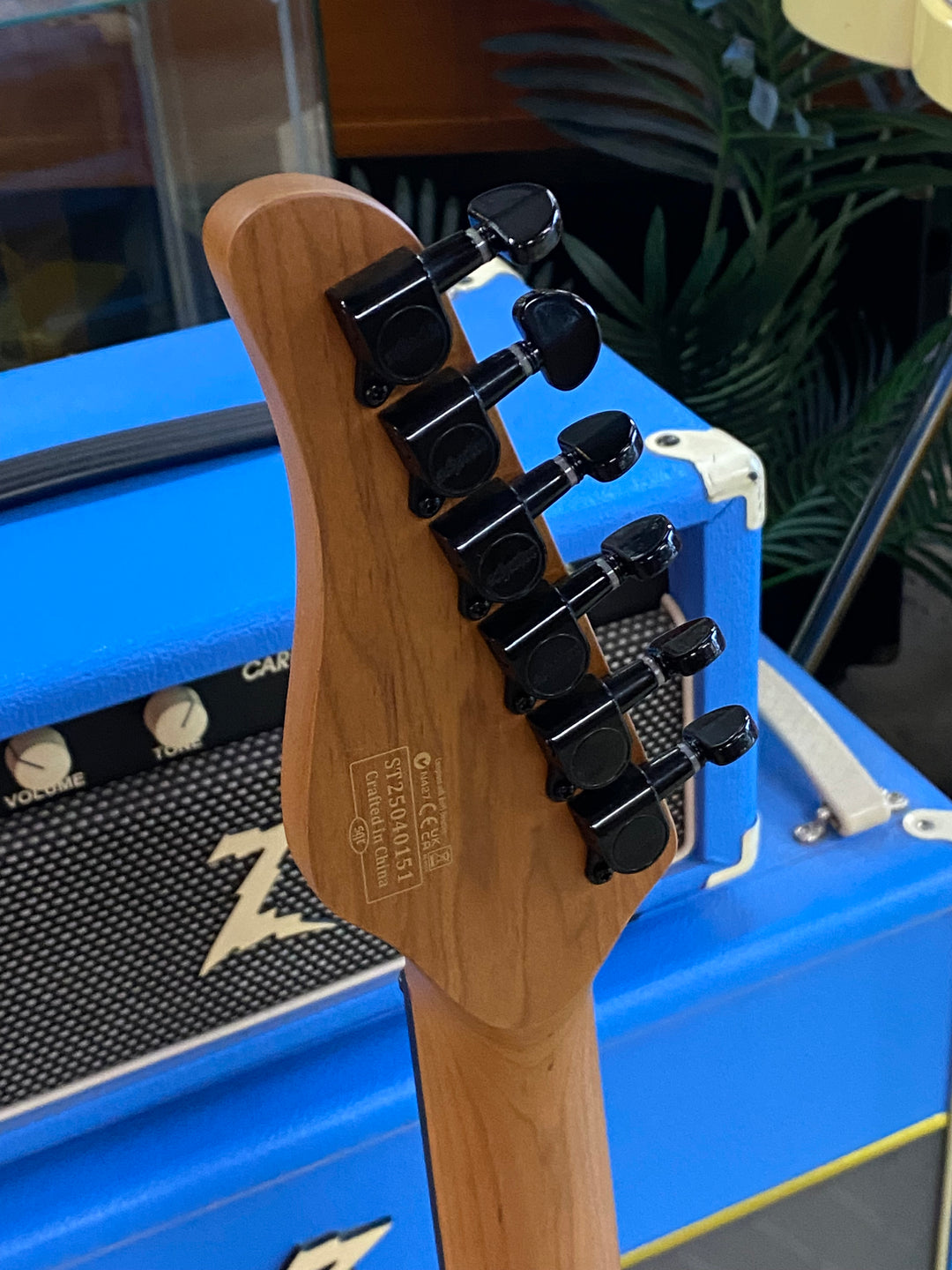Schecter PT Standard | Black Fade Burst Burl