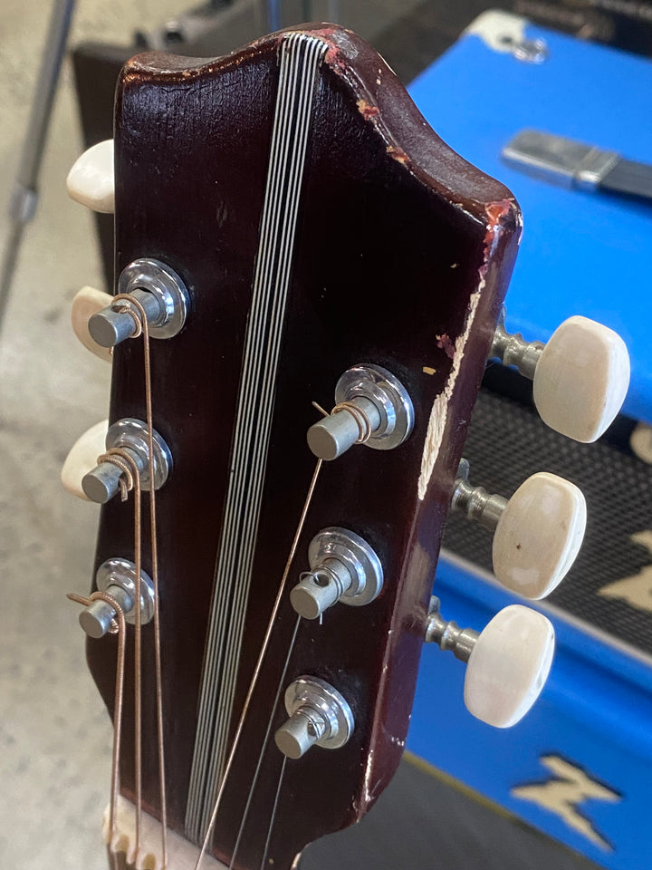 Ibanez Salvador 1950s MIJ Copy of Raffaele Calace Archtop ***Pre Loved***