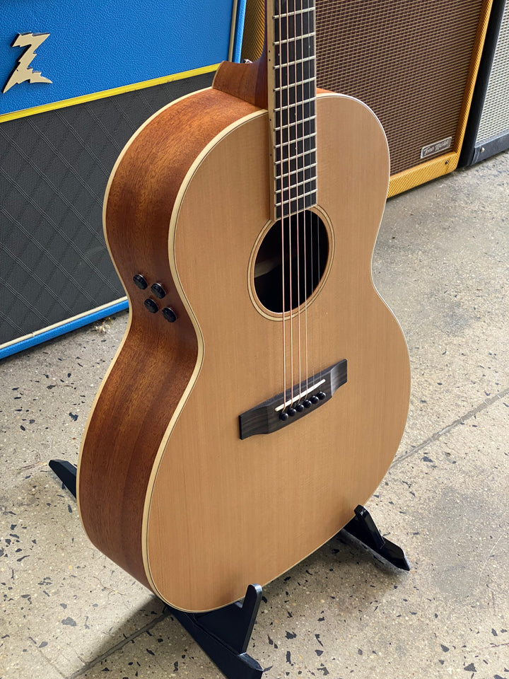 Auden Guitars Neo Series w/bag – Chester Full Body