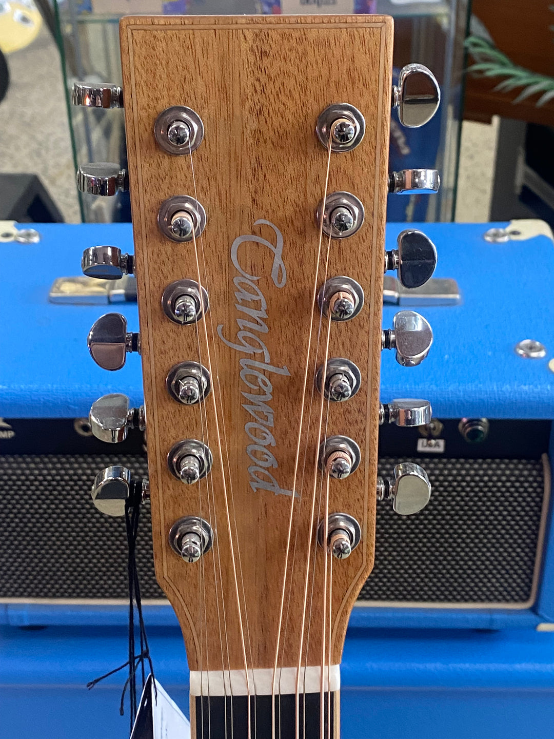 Tanglewood TW12CELH Winterleaf Super Folk C/E 12