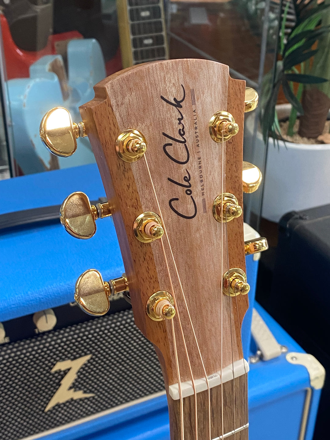 Cole Clark AN2EC All Blackwood Acoustic Electric