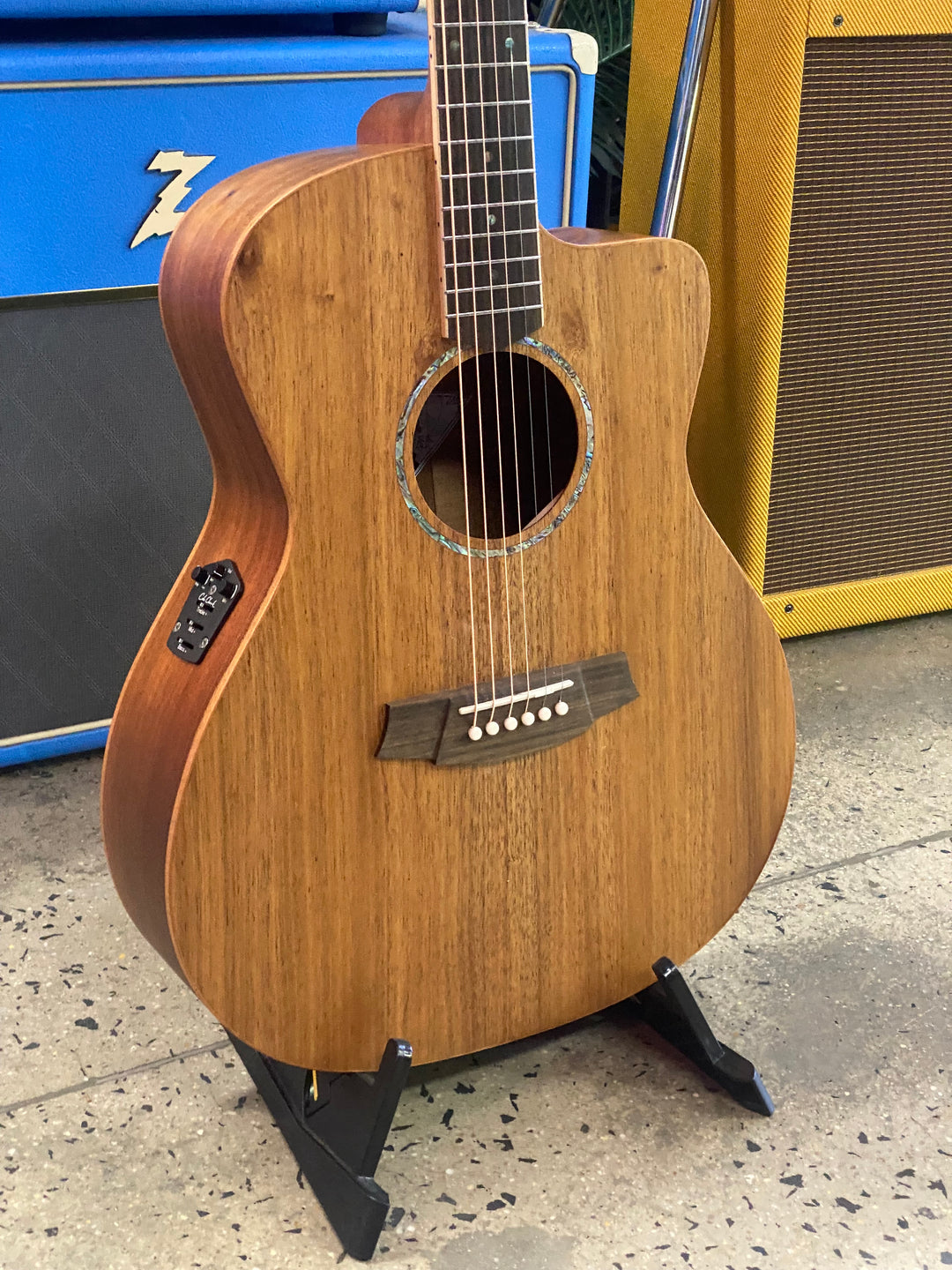 Cole Clark Studio SAN1EC Grand Auditorium Blackwood top back & sides