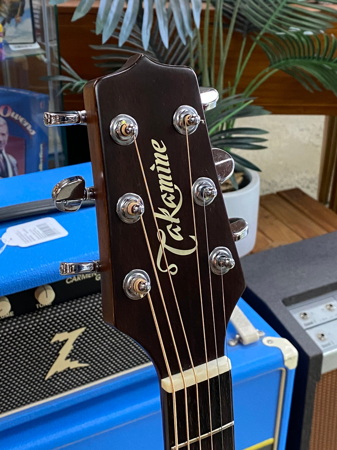 Takamine 1987 F-349 Dreadnought Acoustic w/Fishman w/case ***pre loved***