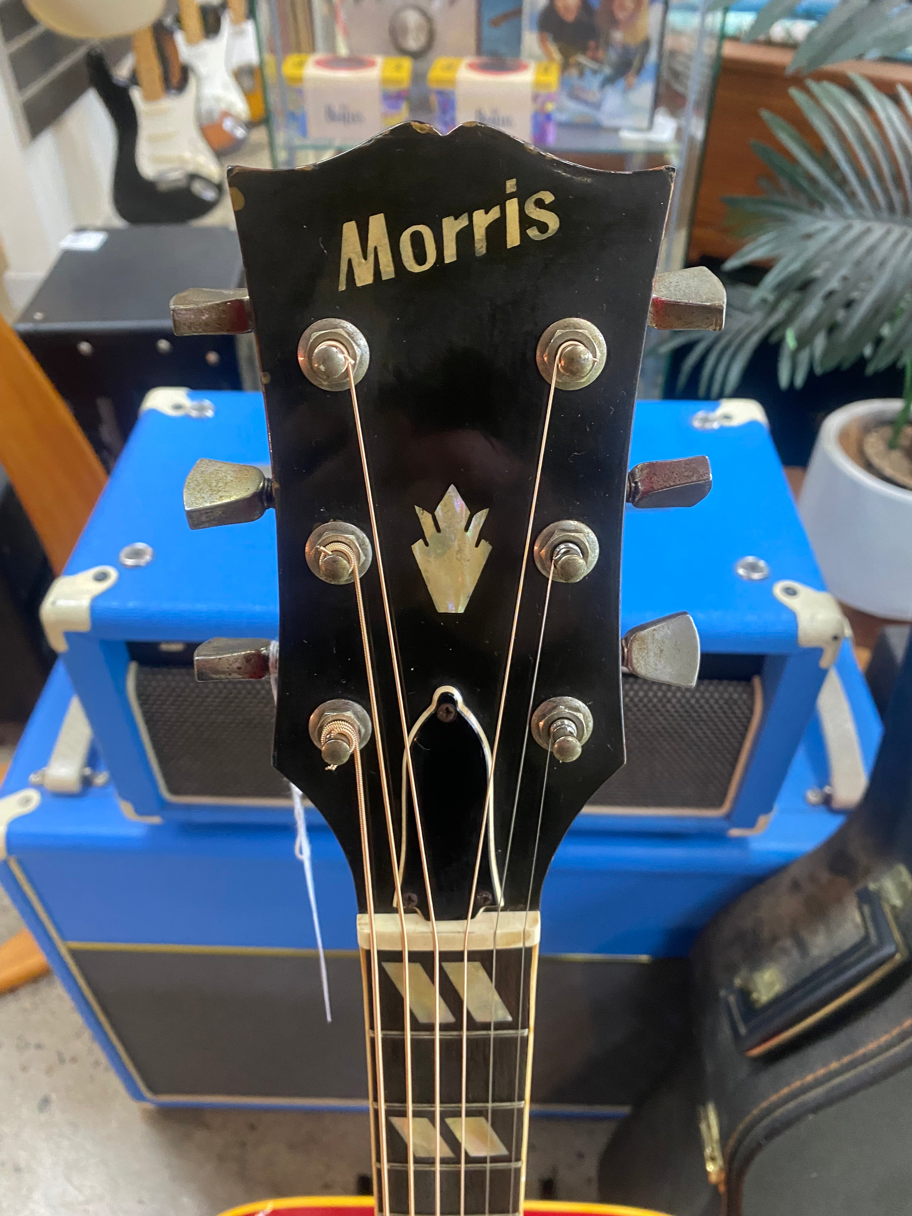 1975 Morris WD-35 Dove Style Dreadnought Acoustic Guitar **Pre
