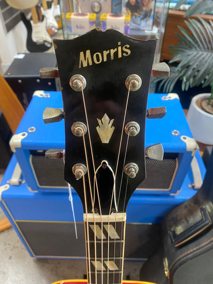 1975 Morris WD-35 Dove Style Dreadnought Acoustic Guitar **Pre Loved**