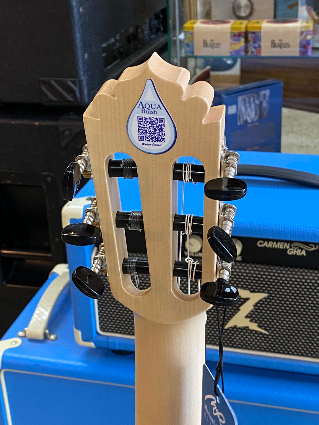 Manuel Rodriguez ECOLOGICA 4/4 Electric-Acoustic Classical PLANO