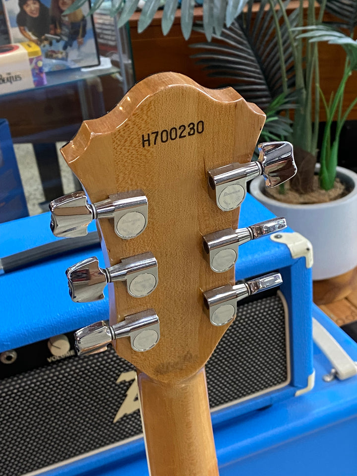 Ibanez 1987 FG100 Hollow Body w/case | Natural ***pre loved***