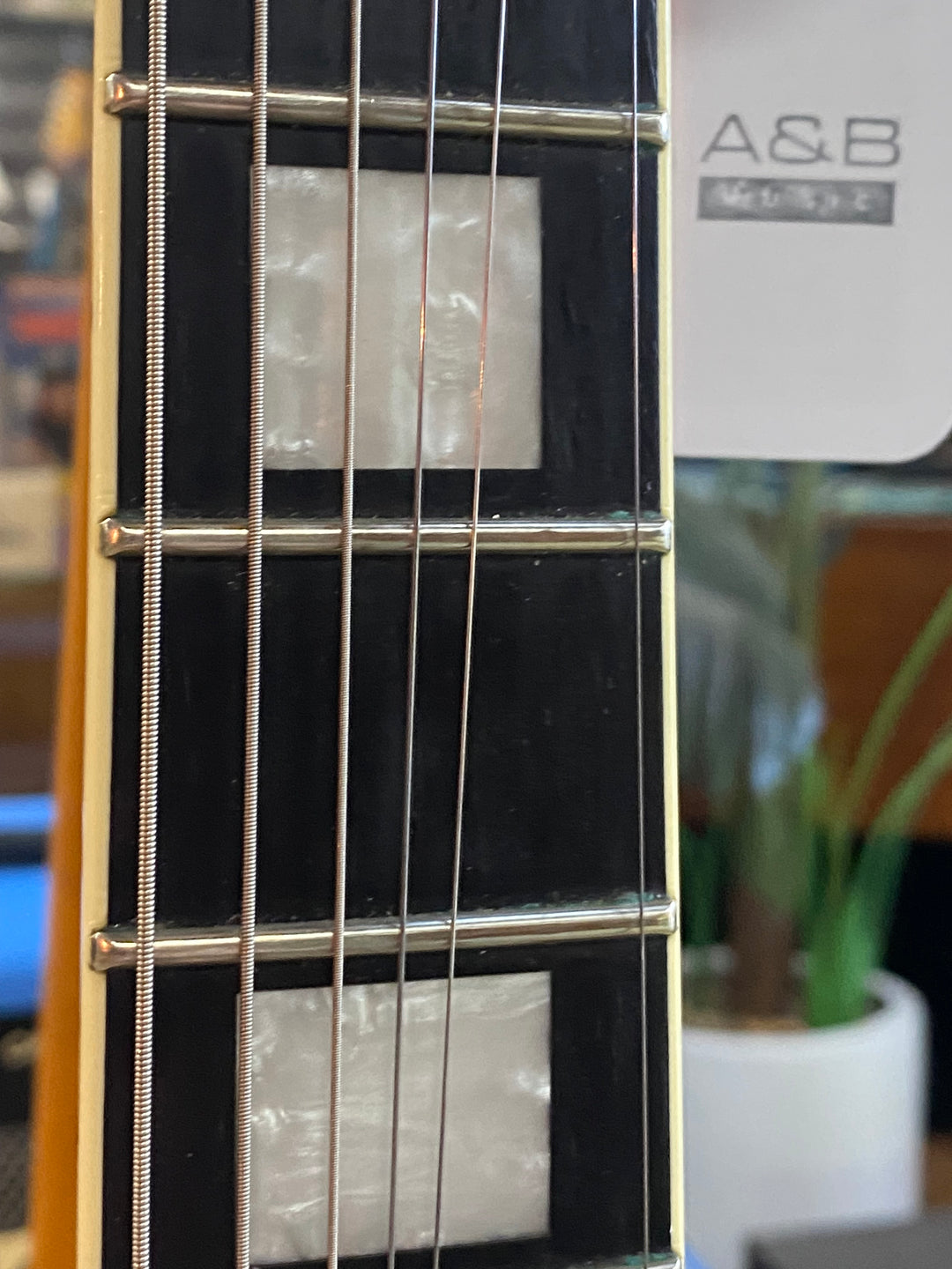 LTD 2017 Bill Kelliher Signature Sparrowhawk ***pre loved***