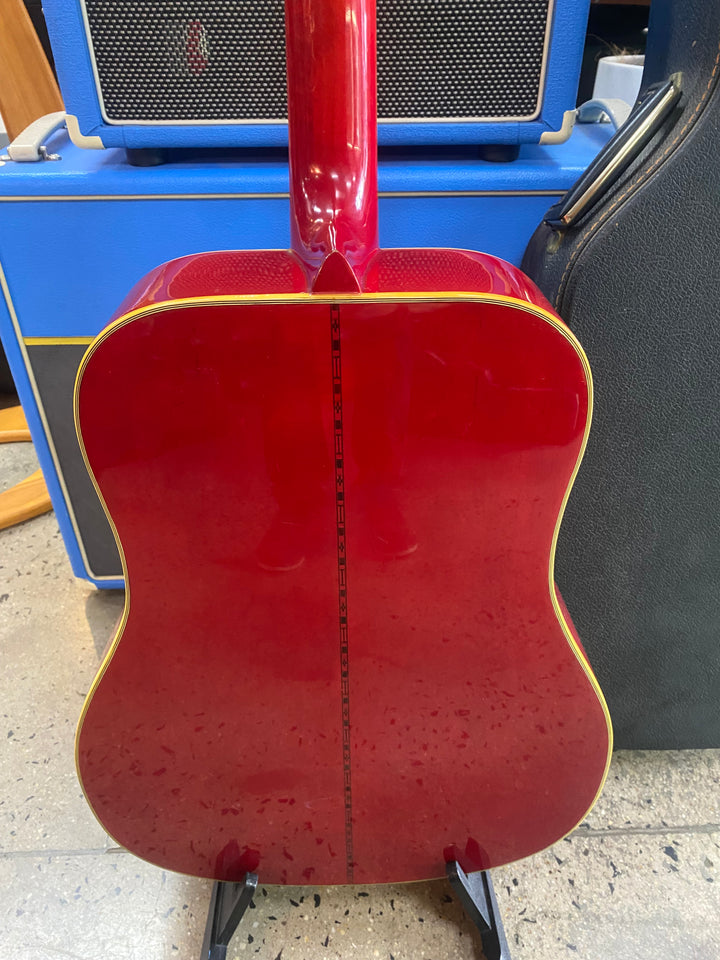 1975 Morris WD-35 Dove Style Dreadnought Acoustic Guitar **Pre Loved**