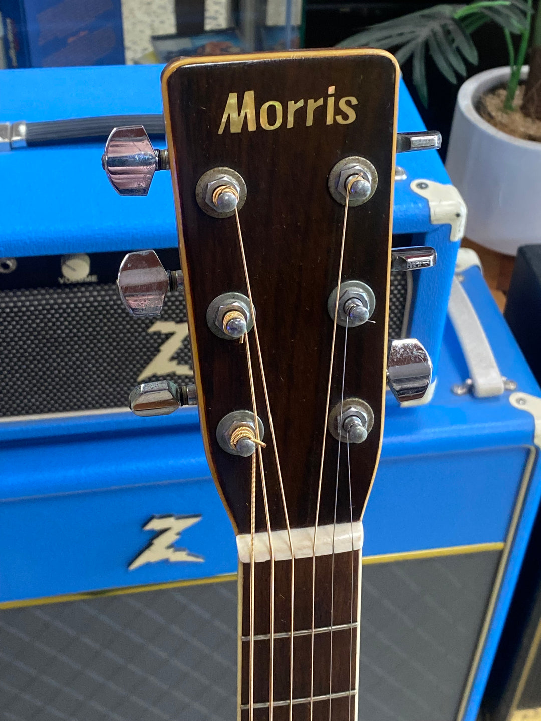 Morris W-30 Acoustic Guitar w/case ***pre loved***