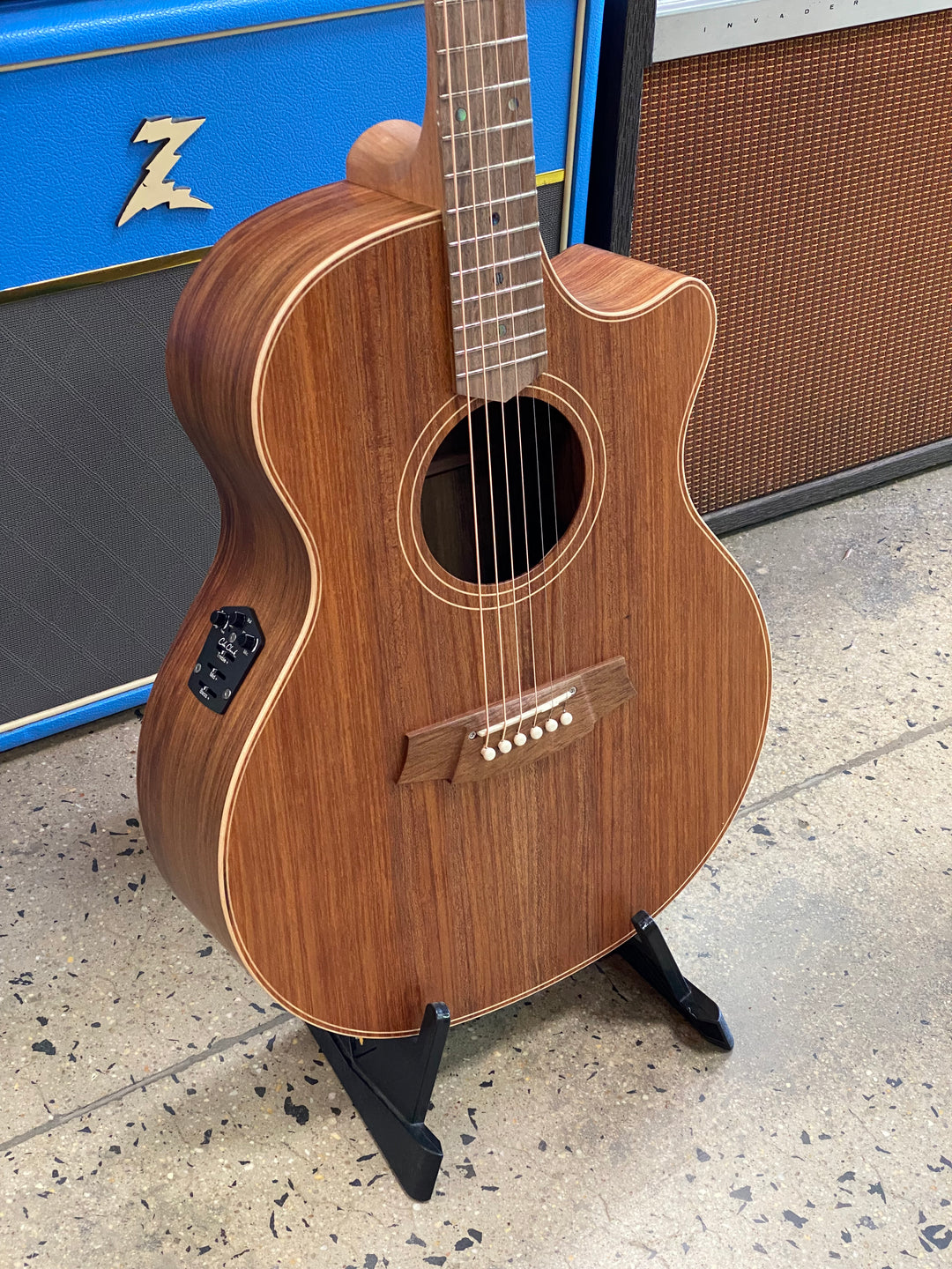 Cole Clark AN2EC All Blackwood Acoustic Electric