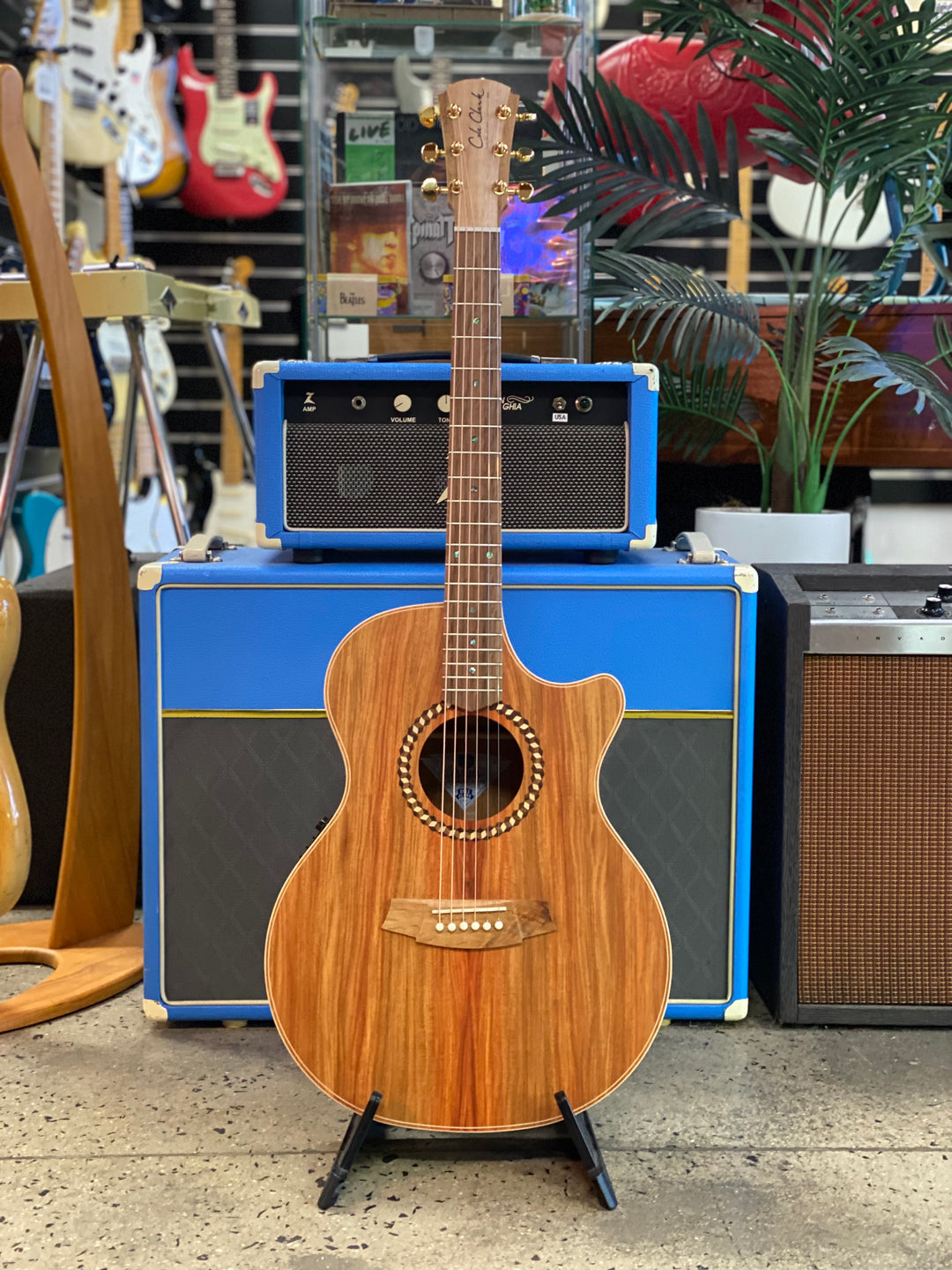 Cole Clark Guitars Recording Series AN2EC All Narra
