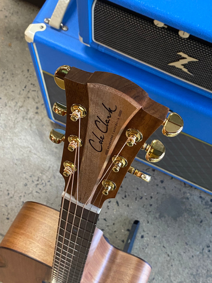 Cole Clark CCFL2EC-RDBLR Rosewood Board Model w/case
