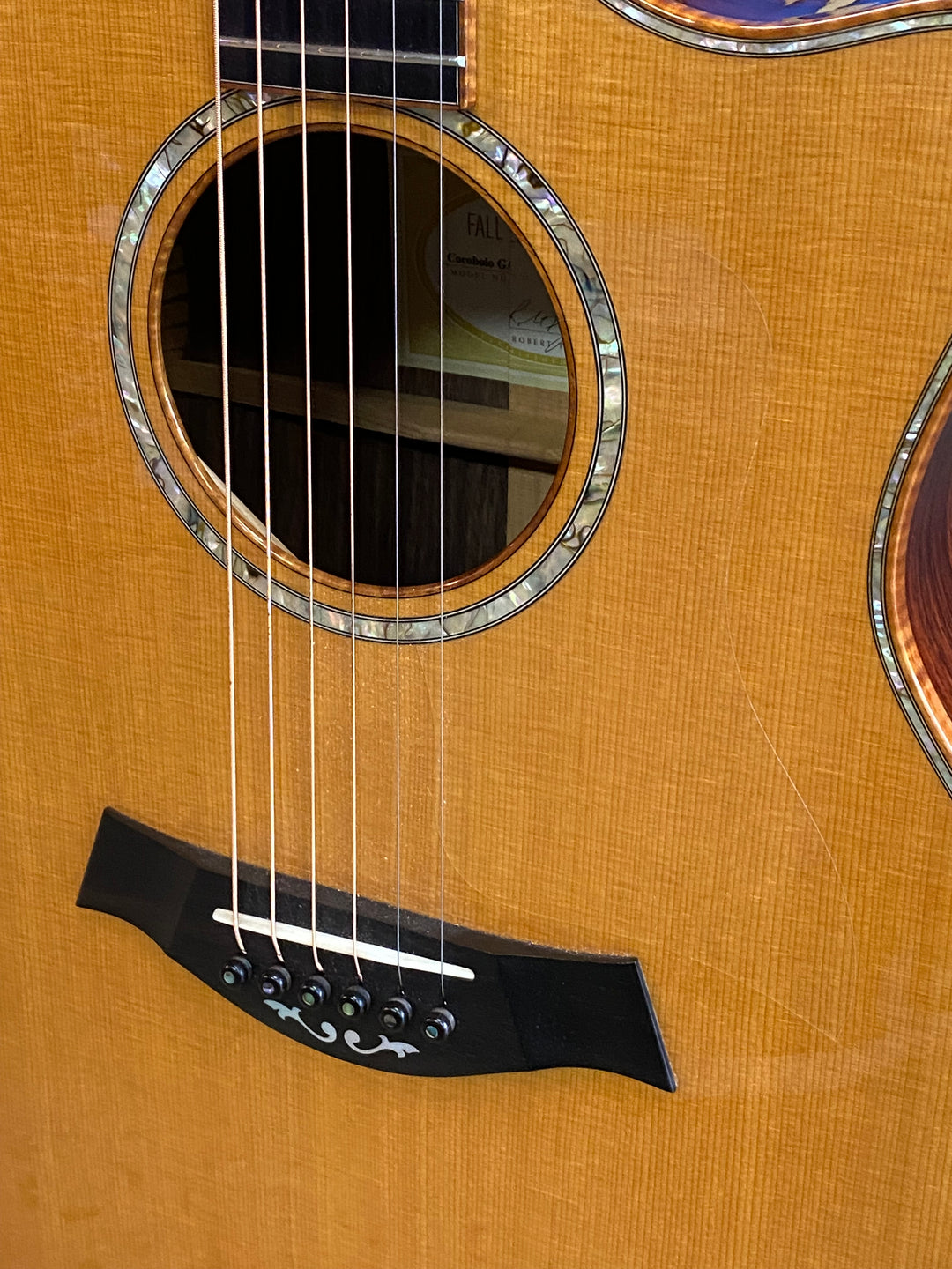 Taylor 2008 Cocobolo GA Limited Edition wcase ***pre loved***