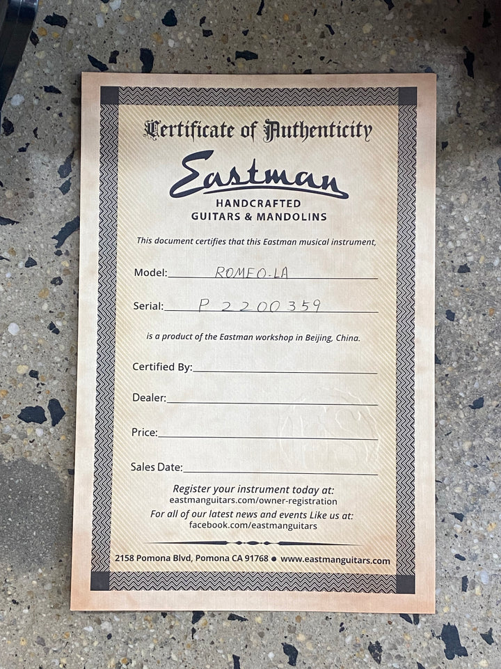 Eastman ROMEO-LA Thinline Archtop Electric Guitar P-90's Celestine Blue W/case ***Pre Loved***