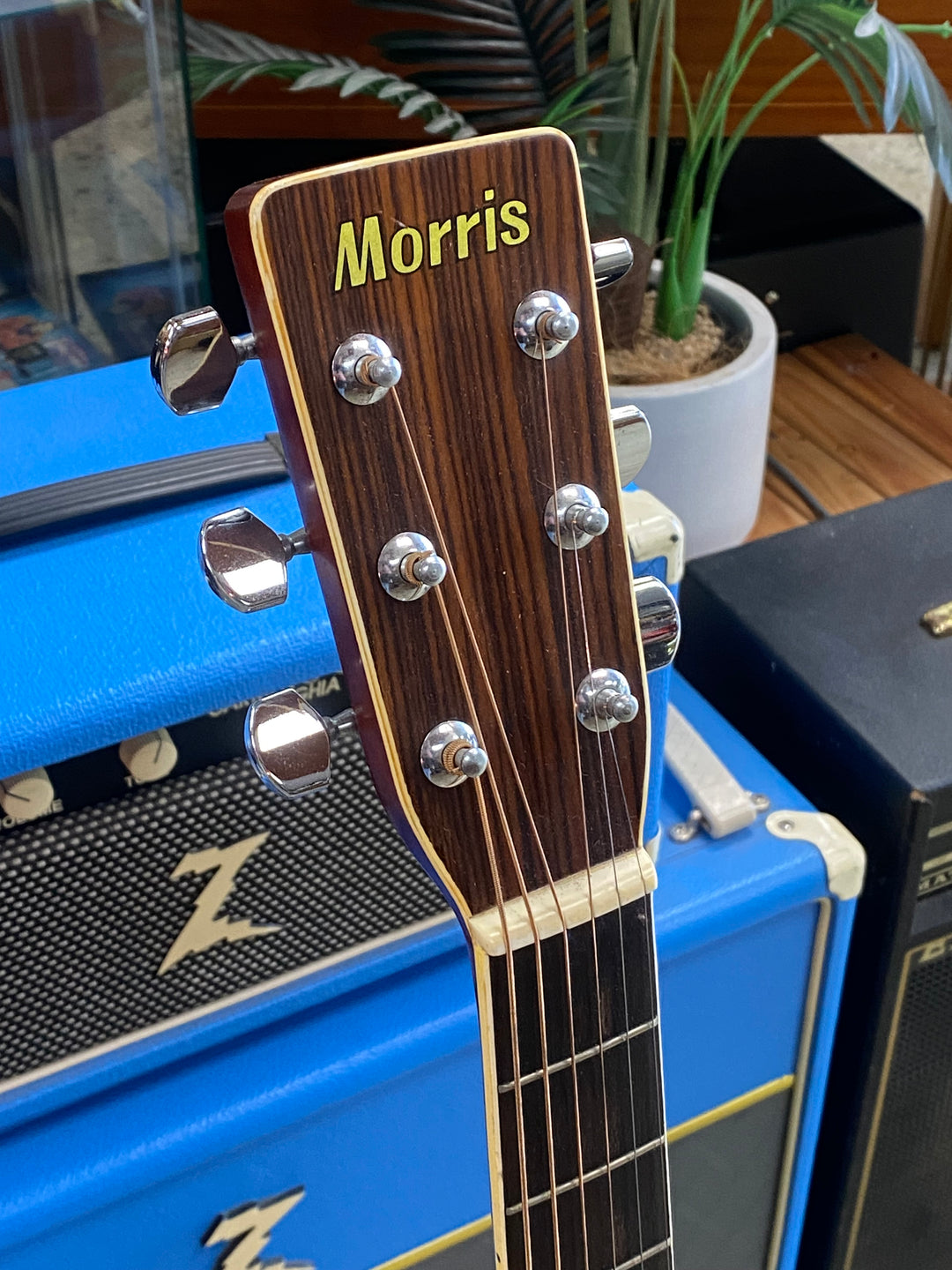 Morris Guitars W-25 Acoustic Guitar w/case ***pre loved***