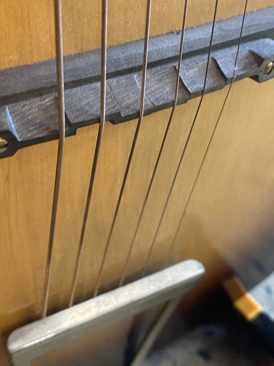 Ibanez Salvador 1950s MIJ Copy of Raffaele Calace Archtop ***Pre Loved***