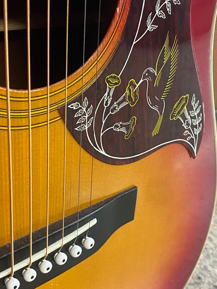 Morris Made In Japan 70's WH-20 H/Bird Style Sunburst ***Pre Loved***