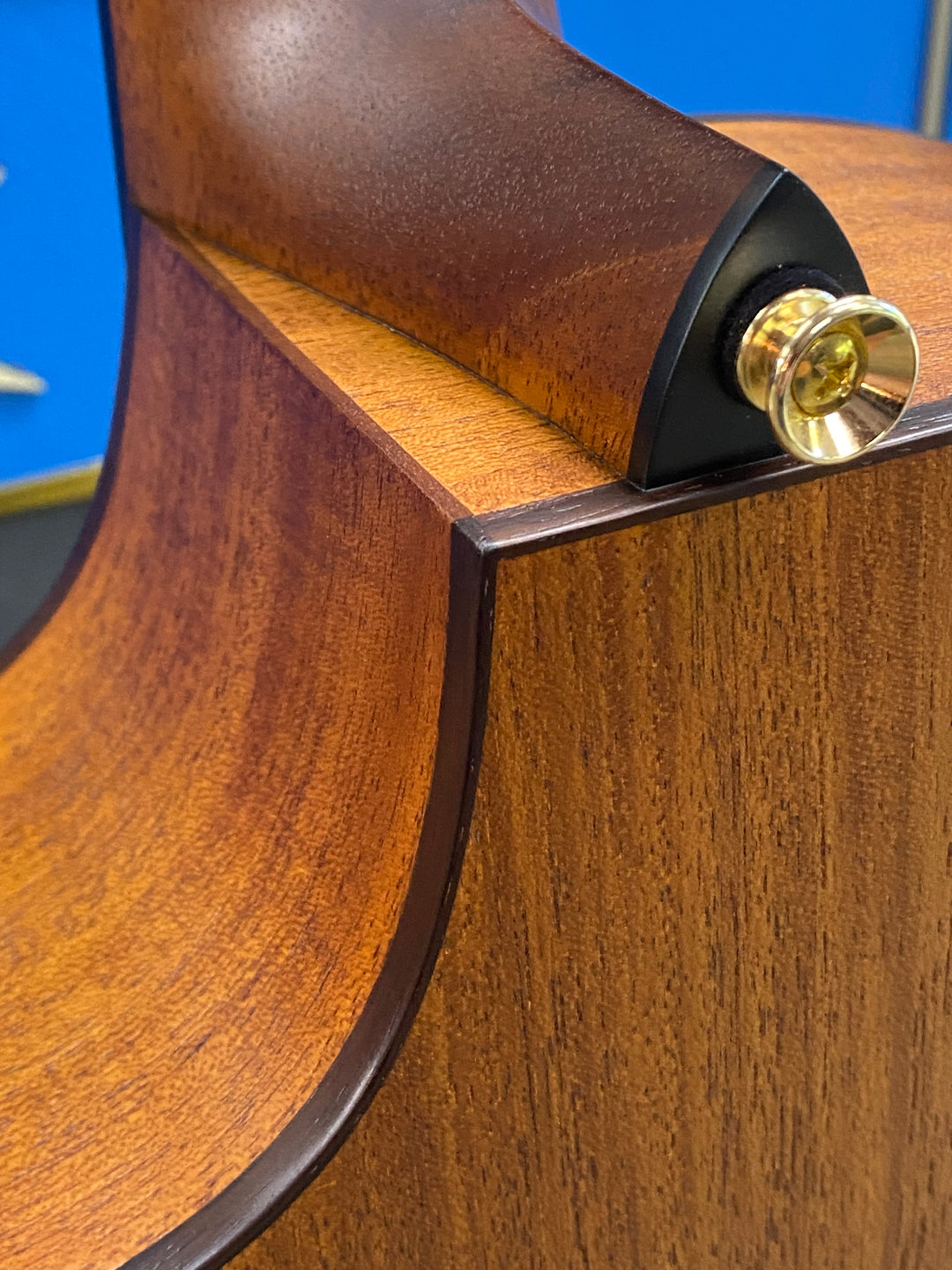 Fenech True Tone Grand Auditorium TTGAC - Mahogany b/s spruce top | gold hardware