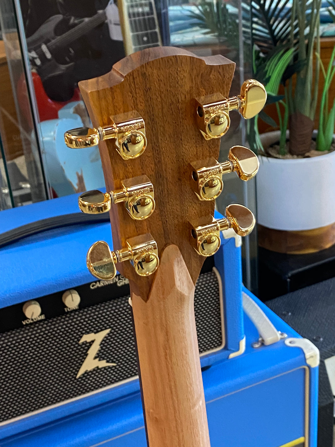 Cole Clark CCFL2EC-RDBLR Rosewood Board Model w/case