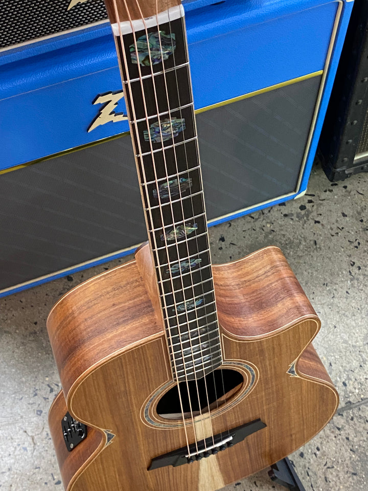 Cole Clark CCAN3EC-BLBL All Blackwood