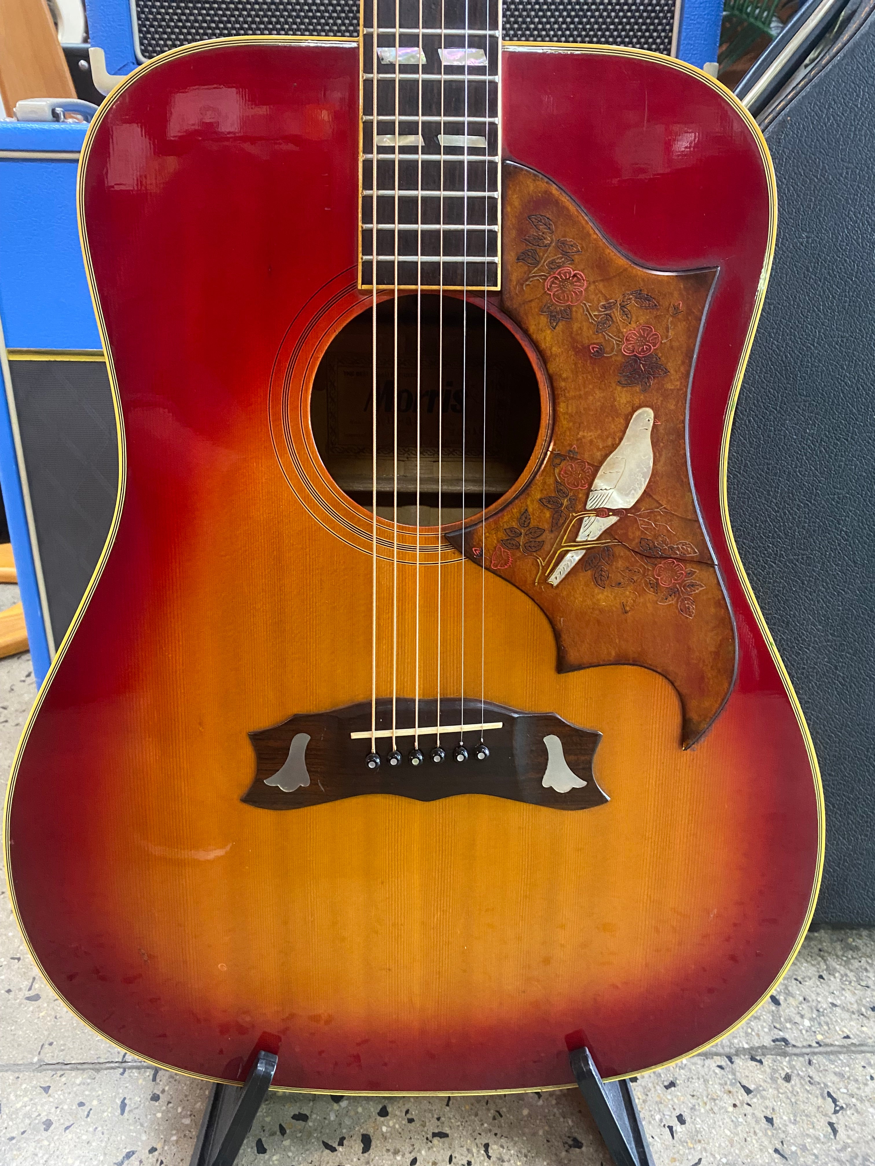 1975 Morris WD-35 Dove Style Dreadnought Acoustic Guitar **Pre