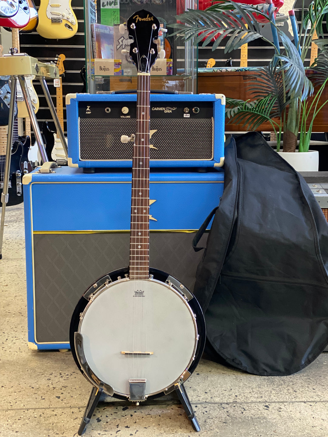 Fender 5 String Banjo Closed Back with bag ***Pre Loved***