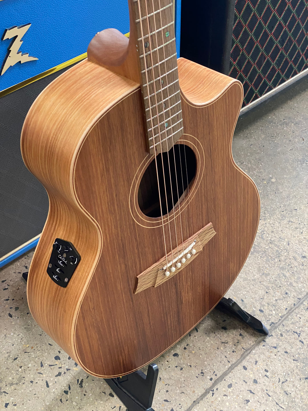 Cole Clark AN2EC All Blackwood Acoustic Electric