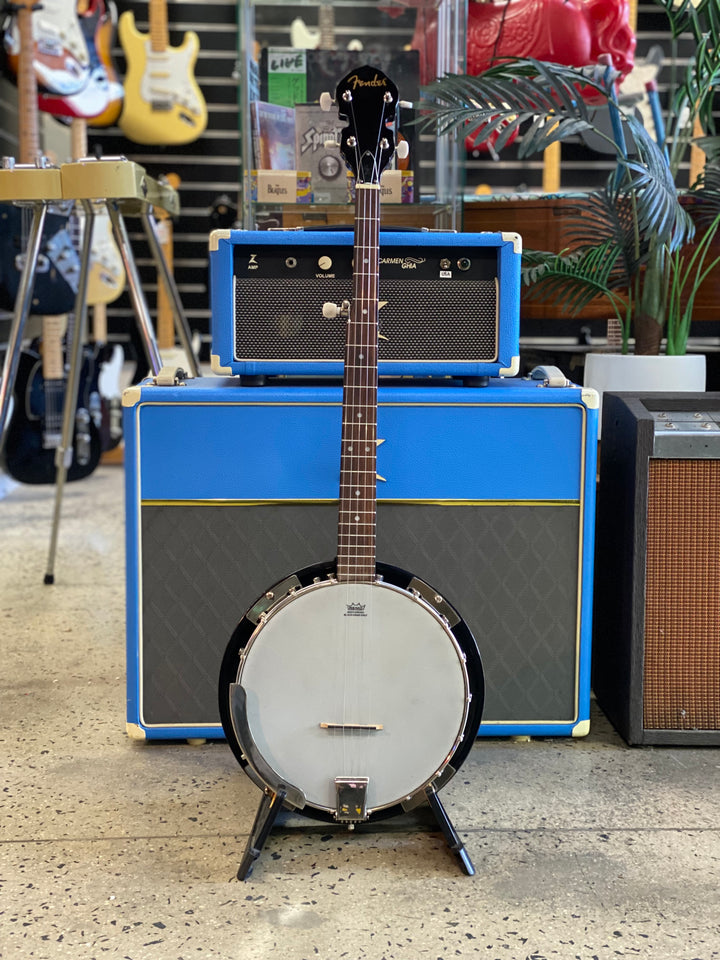 Fender 5 String Banjo Closed Back with bag ***Pre Loved***