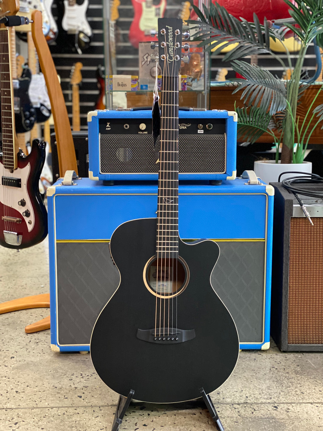 Tanglewood Blackbird Superfolk AE Acoustic Electric Guitar