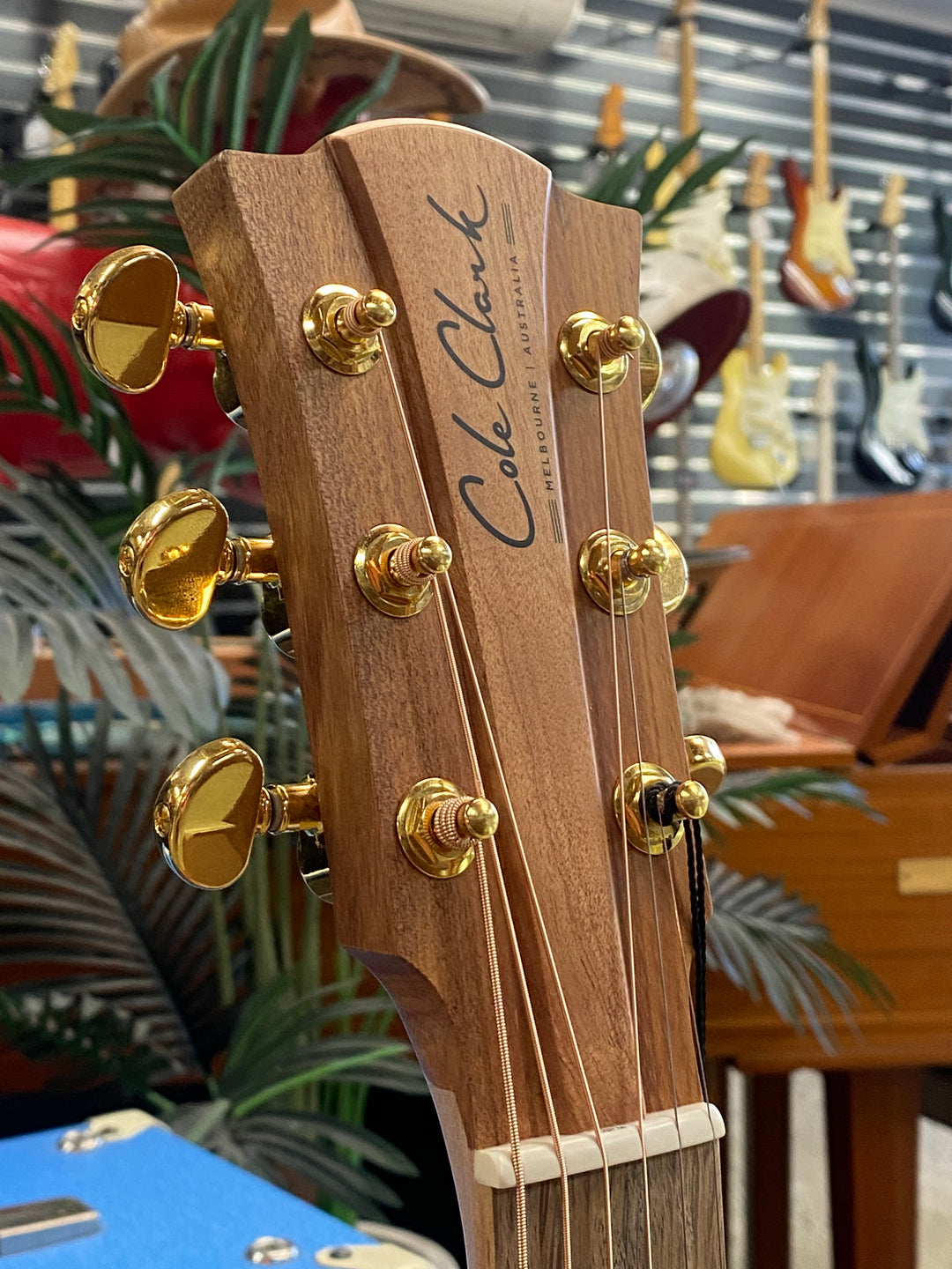 Cole Clark FL2EC Redwood Top with Australian Blackwood Back and Sides