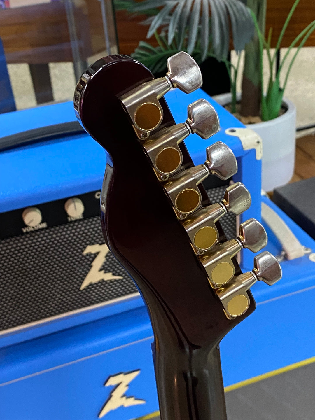ESP Japan Custom Order T Style w/case | Walnut ***pre loved***