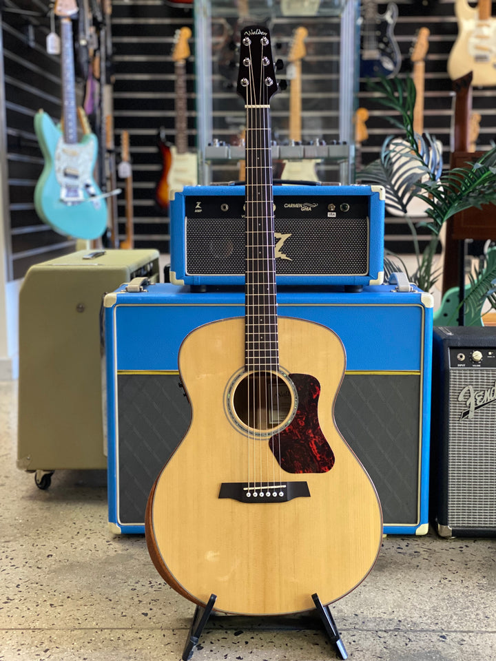 Walden Grand Auditorium All Solid Spruce Top, Ovangkol Back and sides