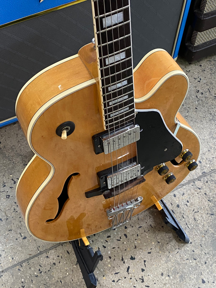 Ibanez 1987 FG100 Hollow Body w/case | Natural ***pre loved***