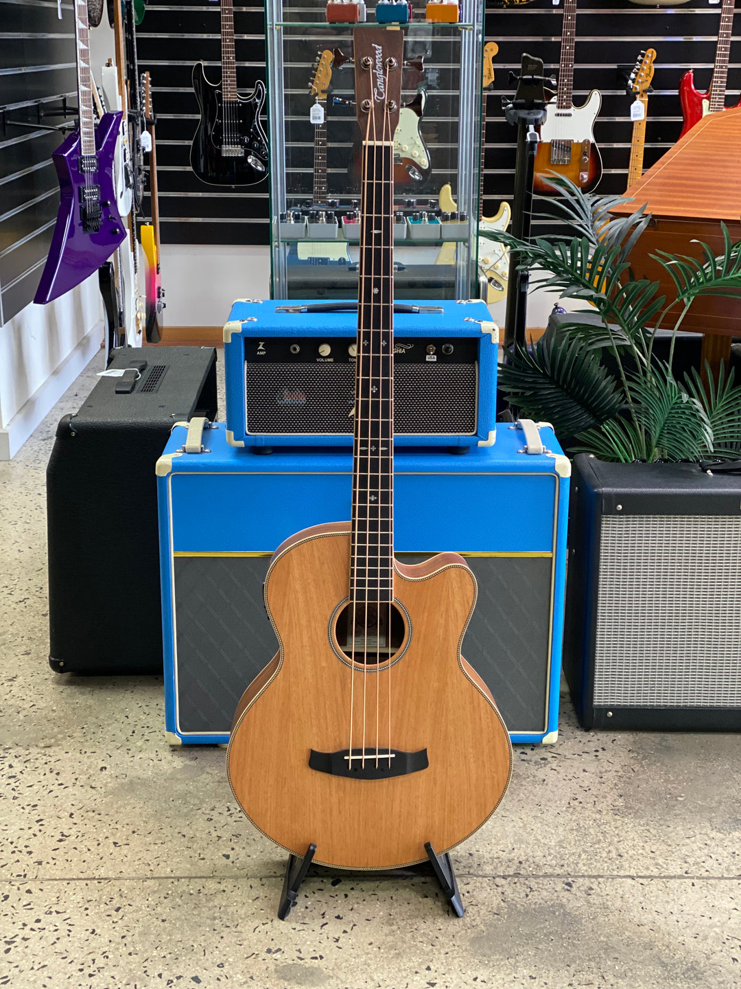 Tanglewood TRAB-BW Blackwood Acoustic Electric Bass ***Pre Loved***