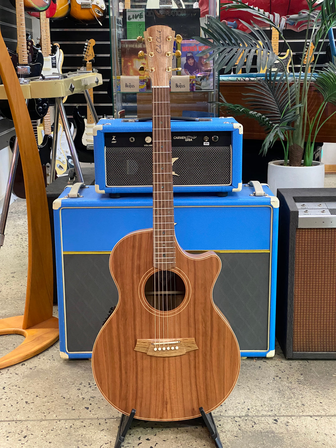 Cole Clark AN2EC Redwood top, Blackwood Back and Sides Acoustic Electric Guitar