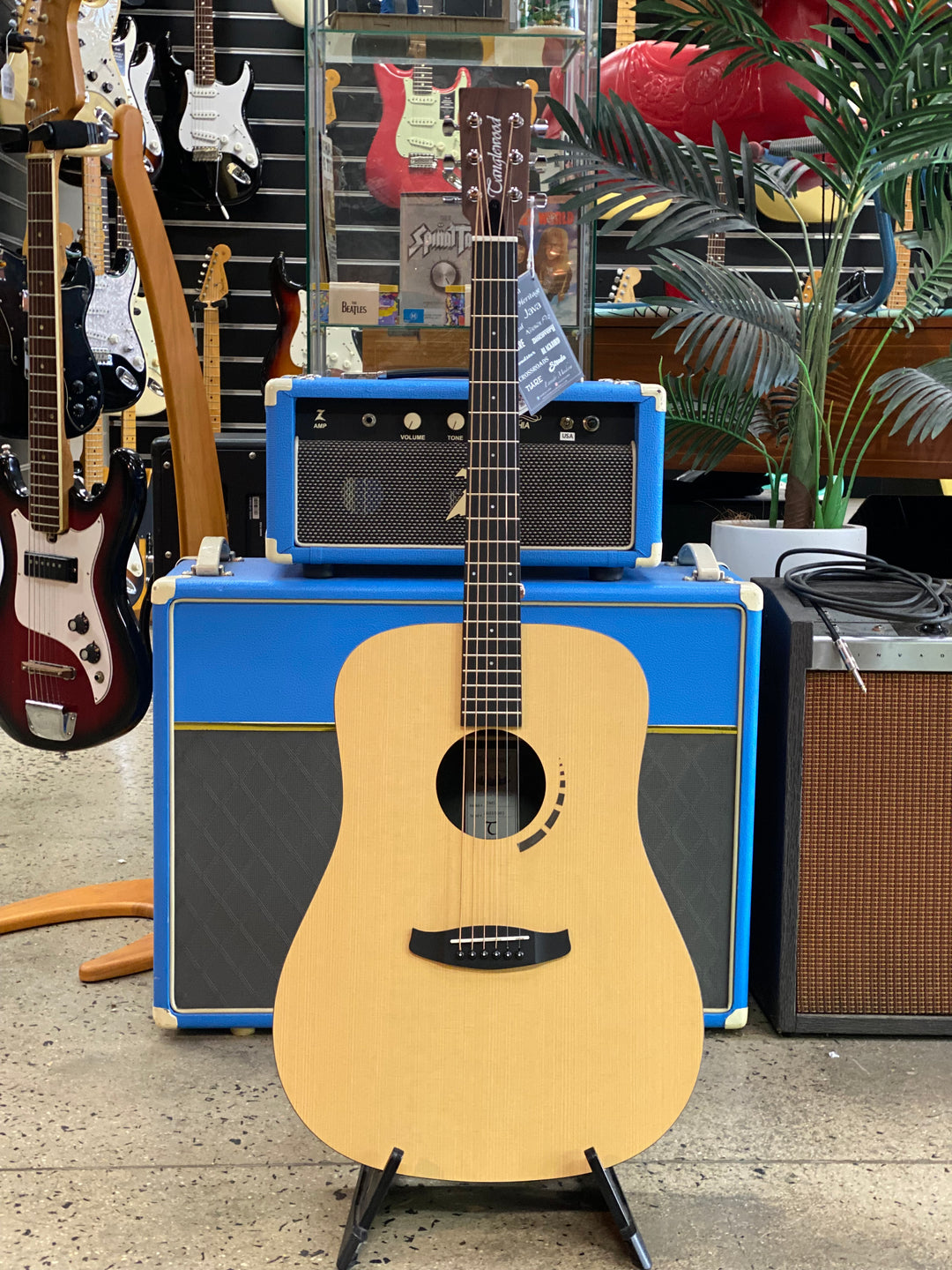 Tanglewood Metropolitan TM5 Dreadnought Koa Acoustic Guitar
