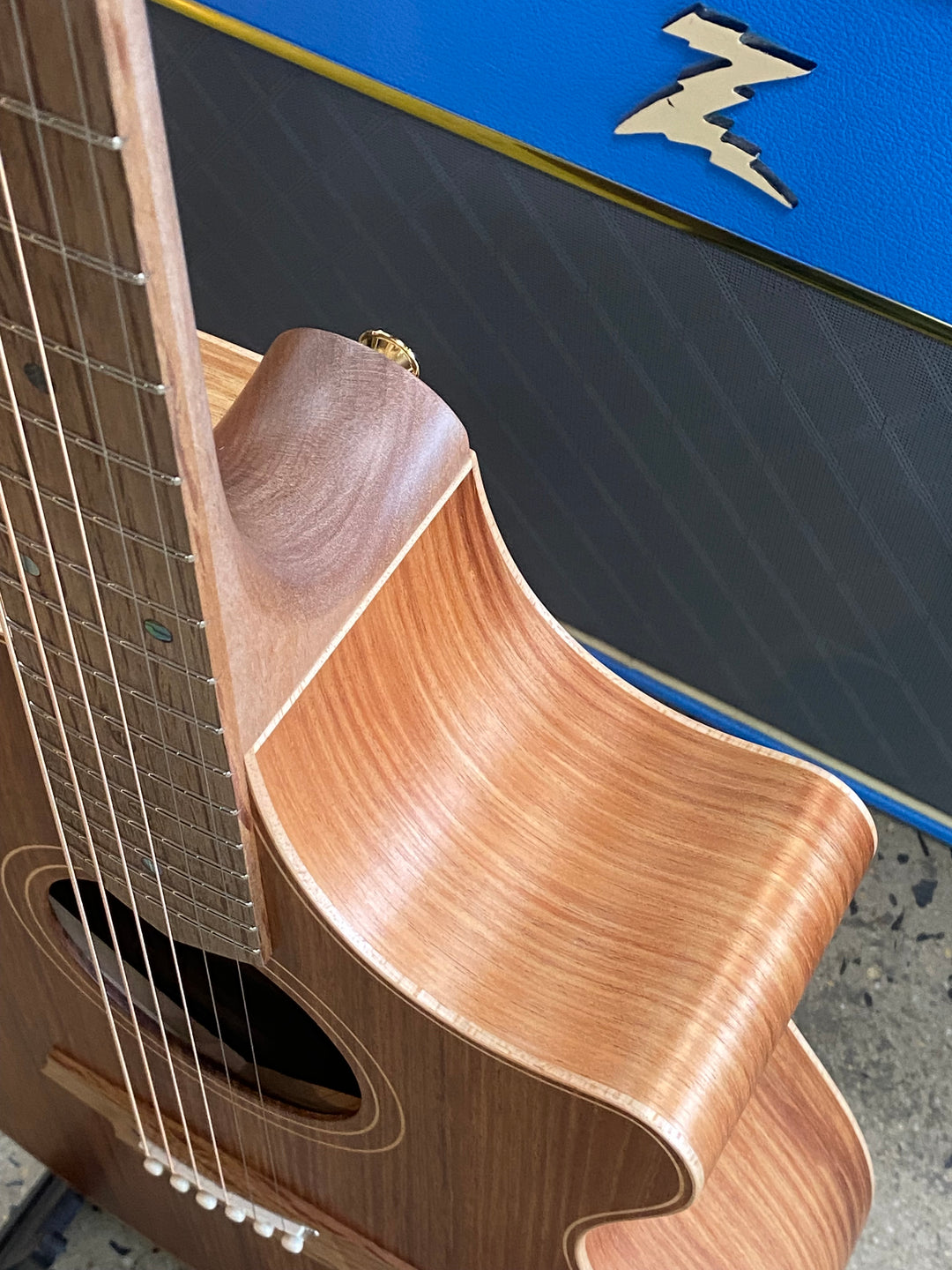 Cole Clark AN2EC All Blackwood Acoustic Electric
