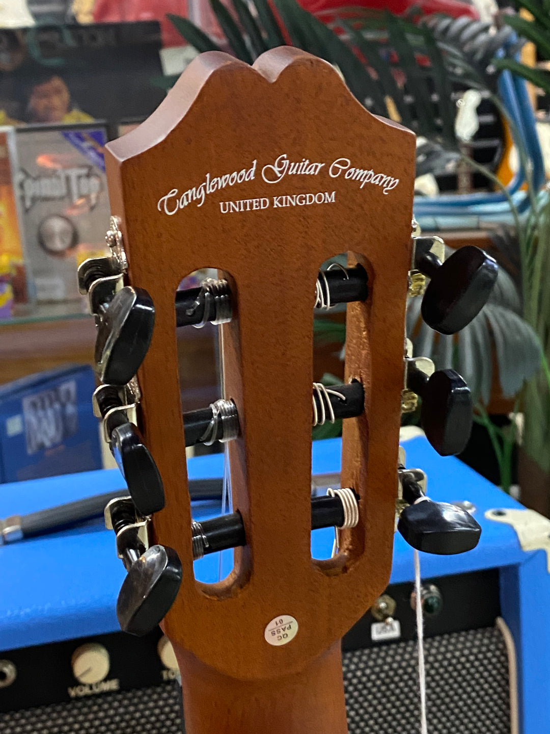 Tanglewood TWEME2 Enredo Madera Elegante Full Size Classical W/bag