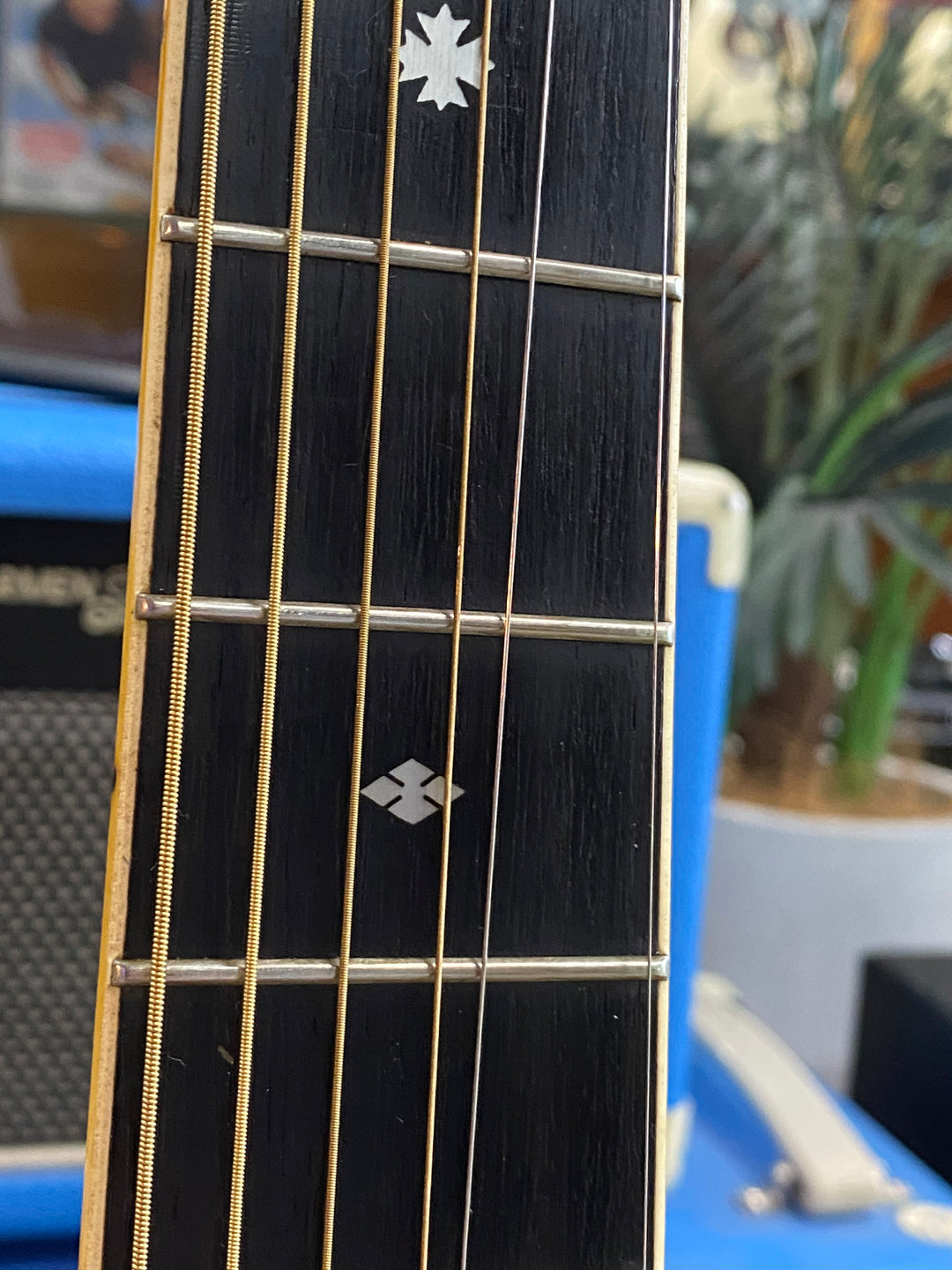 Tokai Cats Eyes CE-500 W/case | Natural **Pre Loved**