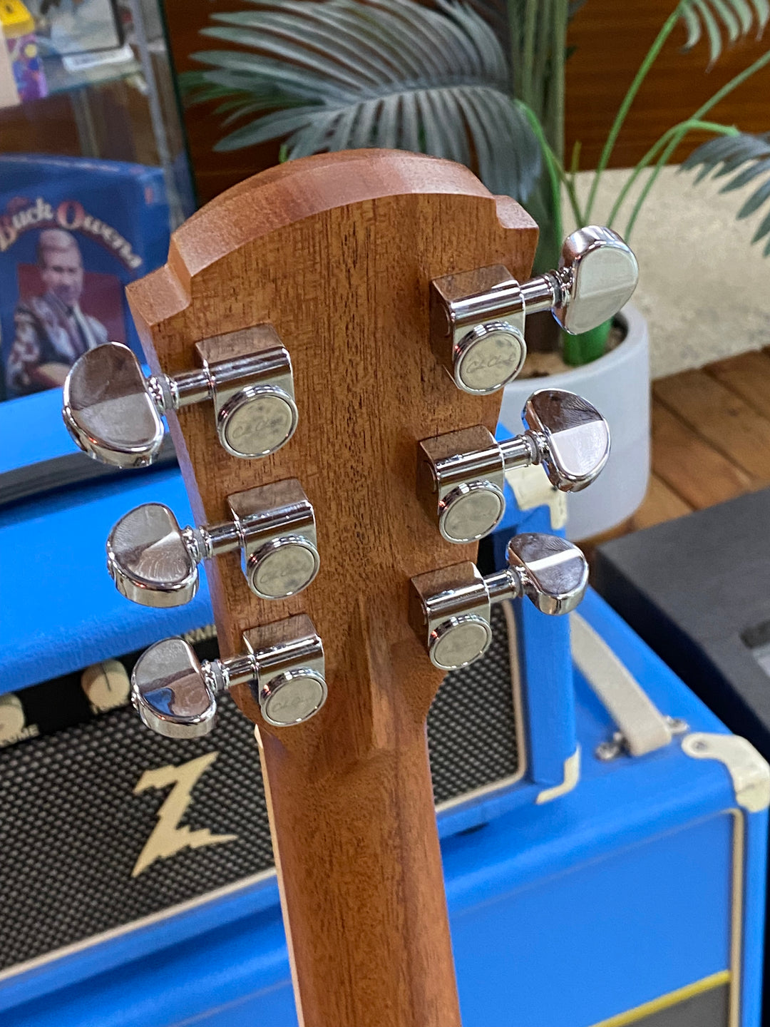 Cole Clark Studio SAN1EC Grand Auditorium Blackwood top back & sides