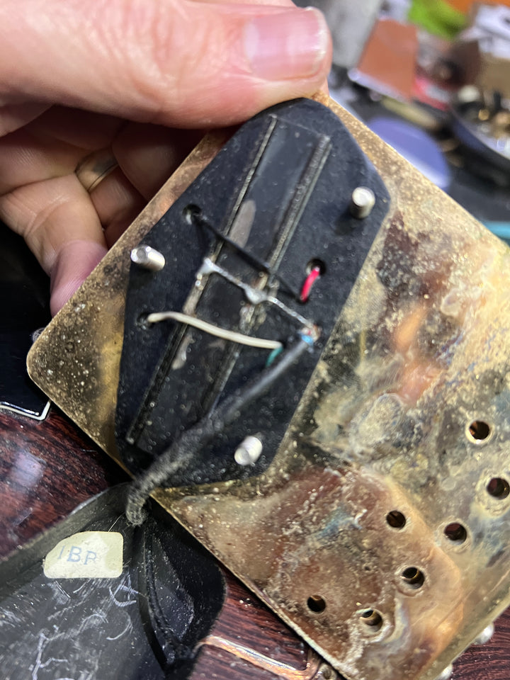 ESP Japan Custom Order T Style w/case | Walnut ***pre loved***