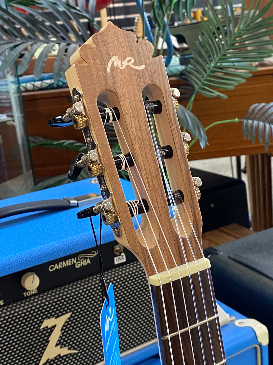 Manuel Rodriguez ECOLOGICA 4/4 Electric-Acoustic Classical PLANO