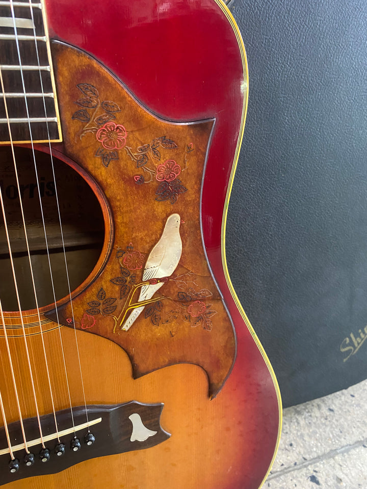 1975 Morris WD-35 Dove Style Dreadnought Acoustic Guitar **Pre Loved**