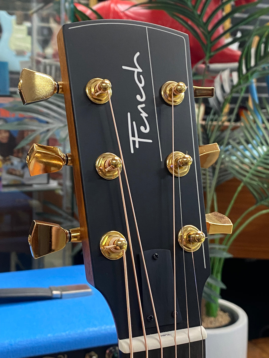 Fenech True Tone Grand Auditorium TTGAC - Mahogany b/s spruce top | gold hardware