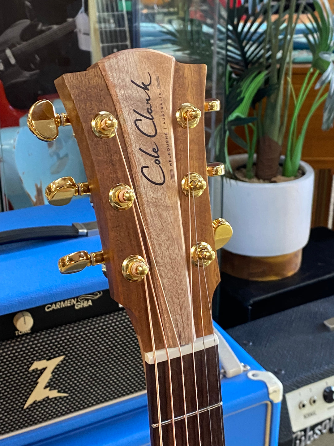 Cole Clark CCFL2EC-RDBLR Rosewood Board Model w/case